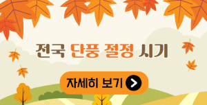 전국 단풍 절정 시기 안내